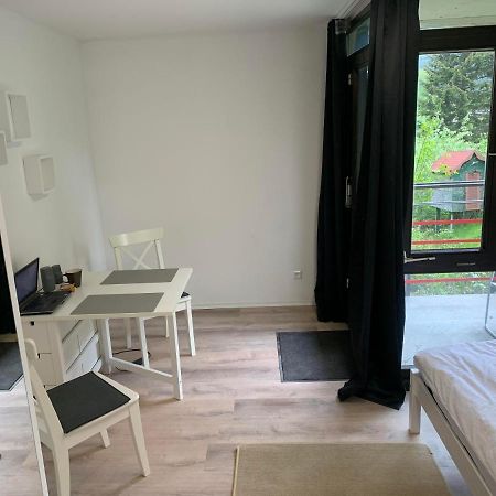 Kleines Einzimmer-Apartment 14 Bad Wildbad Exteriör bild