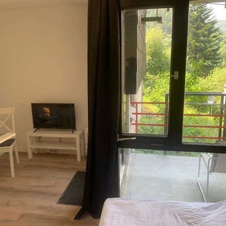 Kleines Einzimmer-Apartment 14 Bad Wildbad Exteriör bild