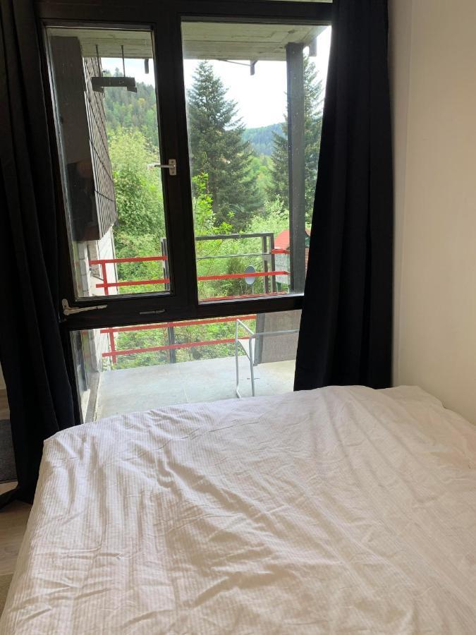 Kleines Einzimmer-Apartment 14 Bad Wildbad Exteriör bild