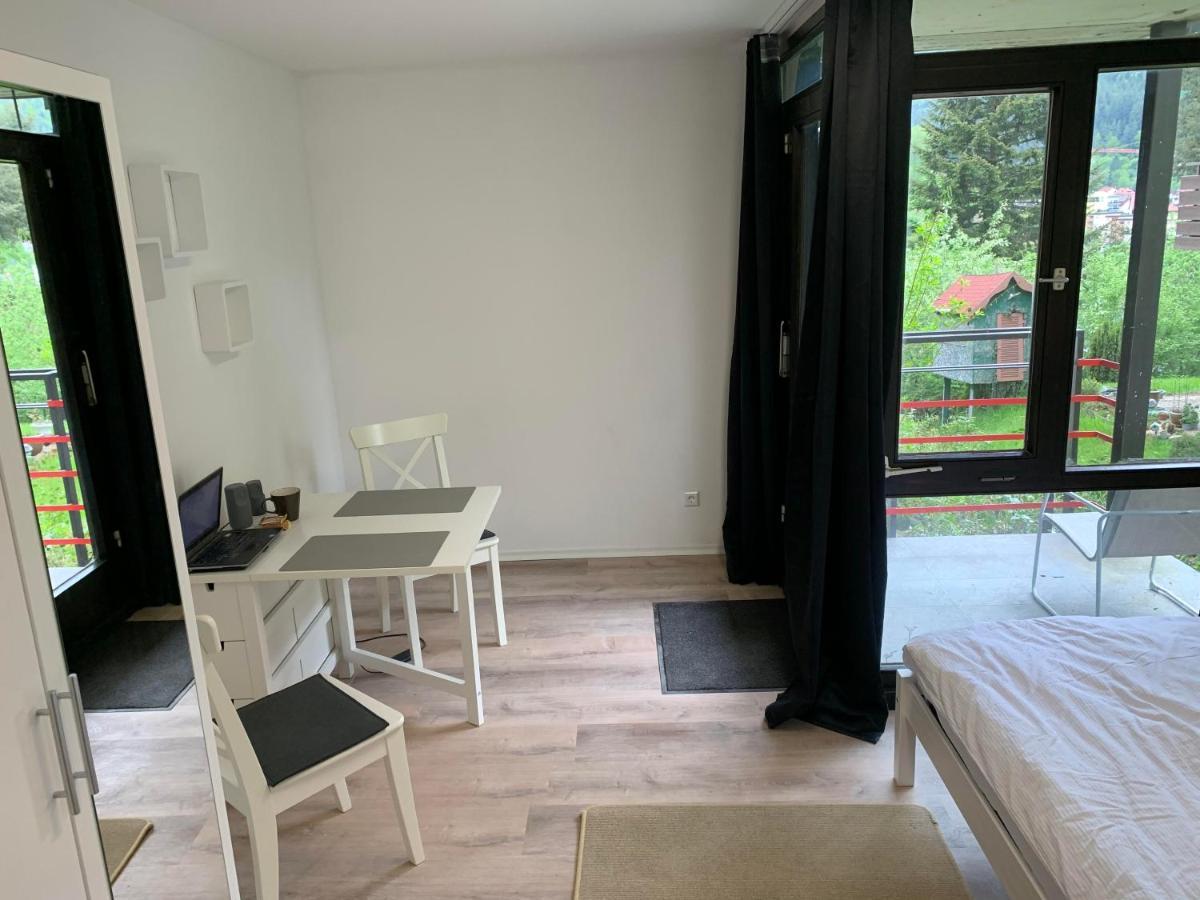 Kleines Einzimmer-Apartment 14 Bad Wildbad Exteriör bild