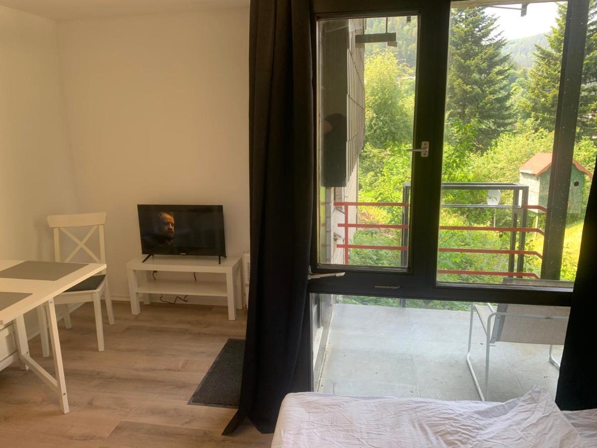 Kleines Einzimmer-Apartment 14 Bad Wildbad Exteriör bild